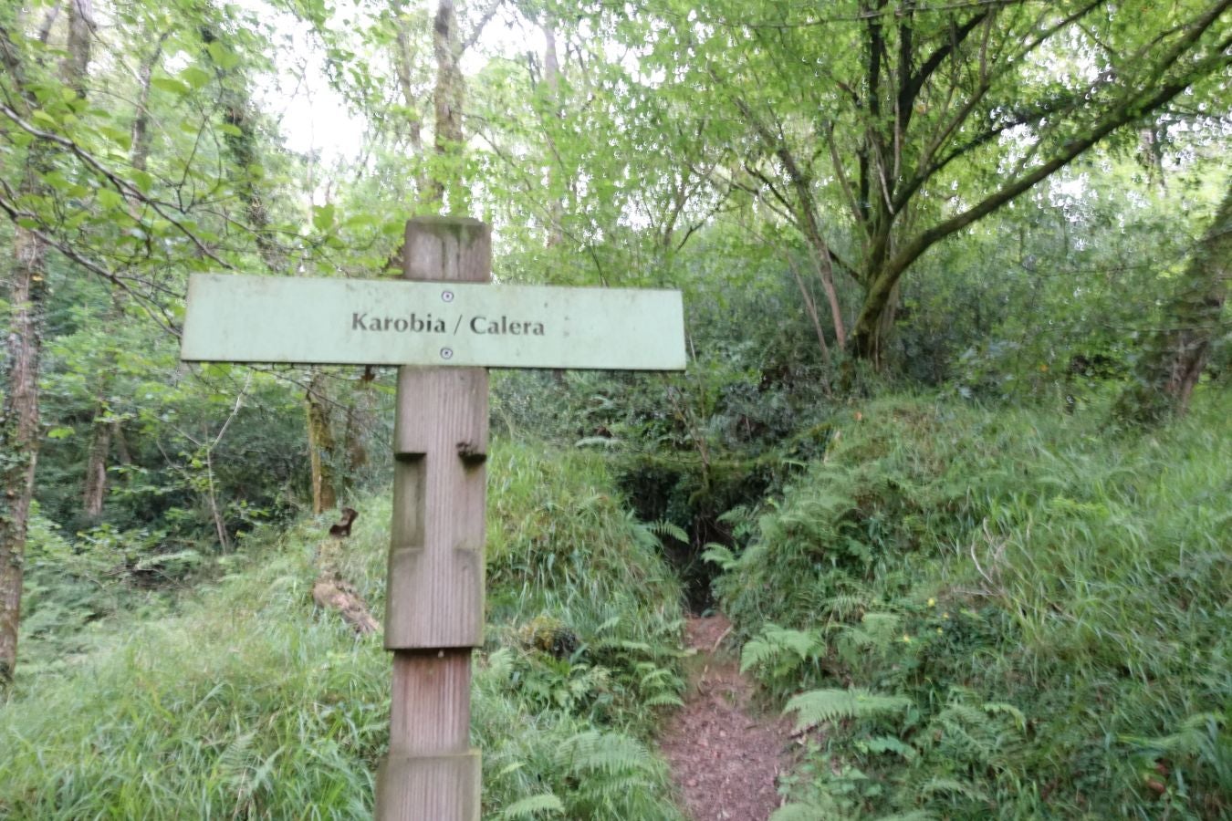 Fotos: Urdaburu, por caminos prehistóricos