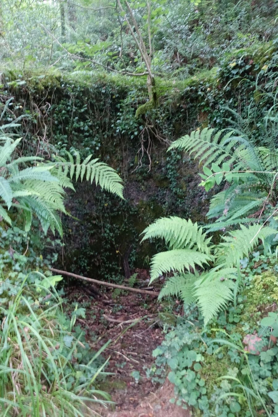 Fotos: Urdaburu, por caminos prehistóricos