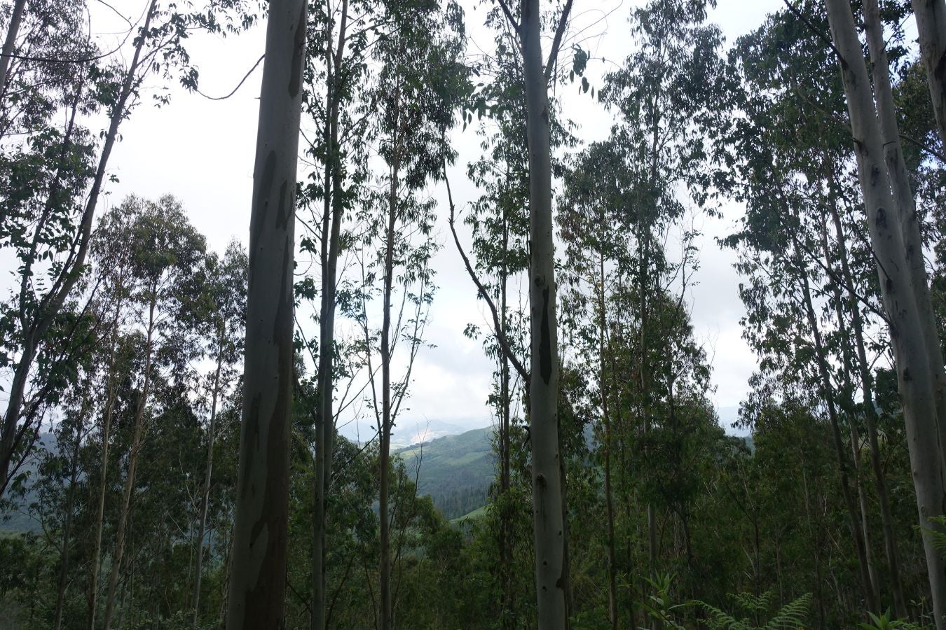 Fotos: Urdaburu, por caminos prehistóricos