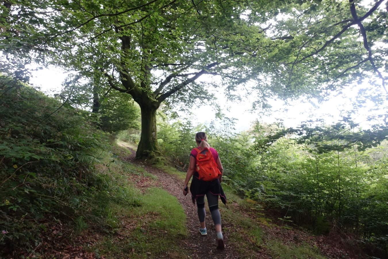 Fotos: Urdaburu, por caminos prehistóricos