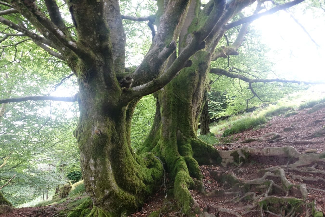 Fotos: Urdaburu, por caminos prehistóricos