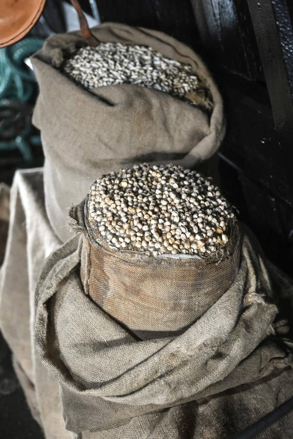 La réplica de la nao 'Victoria' con la que Elcano hizo la primera circunnavegación de la historia 