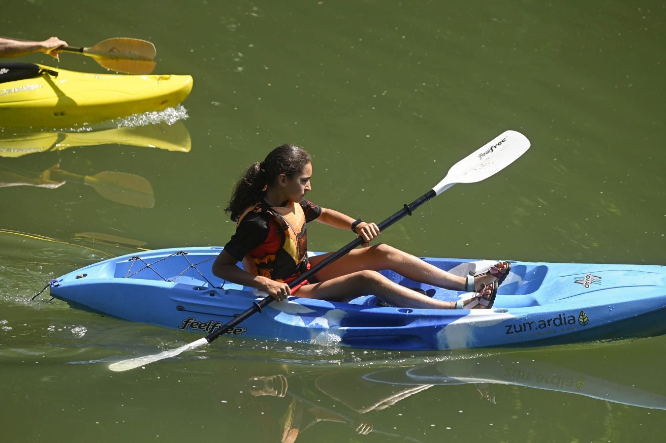 Fotos: Gipuzkoa se abrasa a más de 35ºC