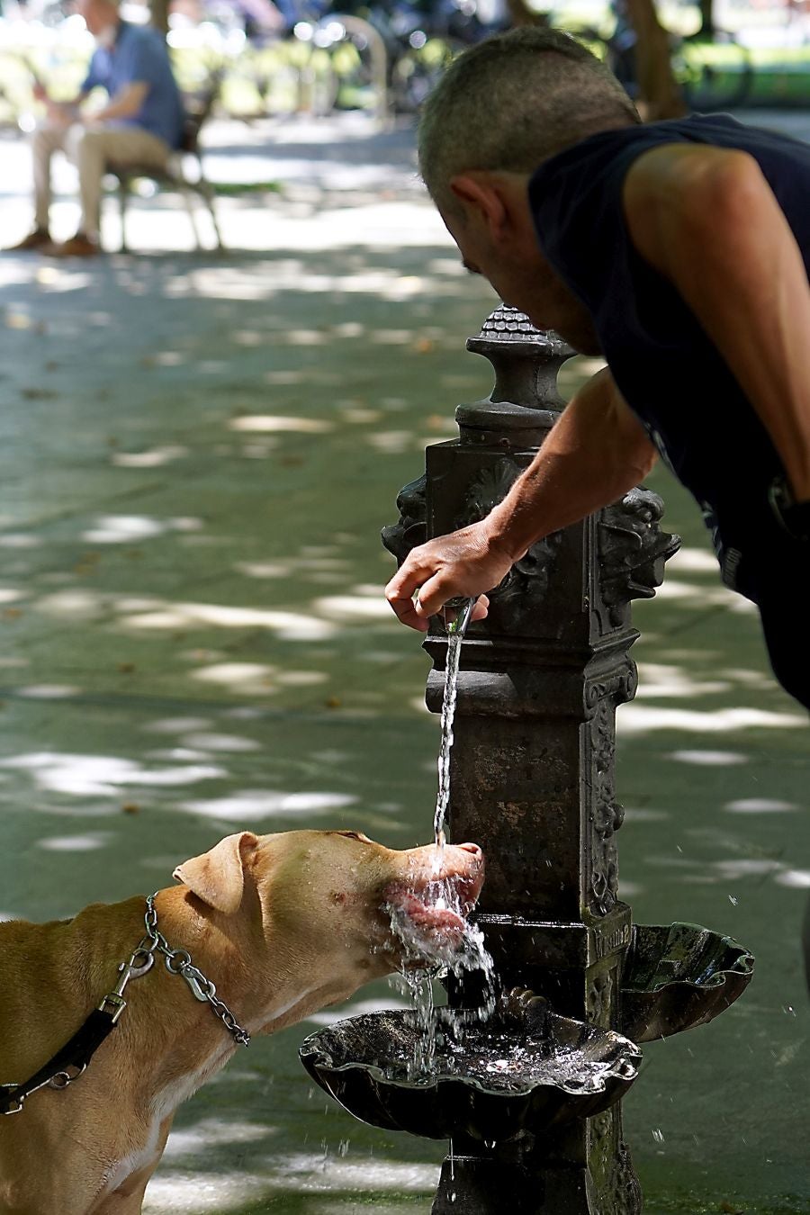 Fotos: Gipuzkoa se abrasa a más de 35ºC
