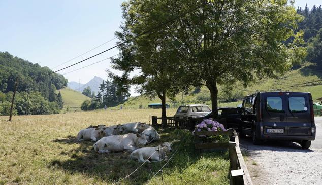 Fotos: Gipuzkoa se abrasa a más de 35ºC