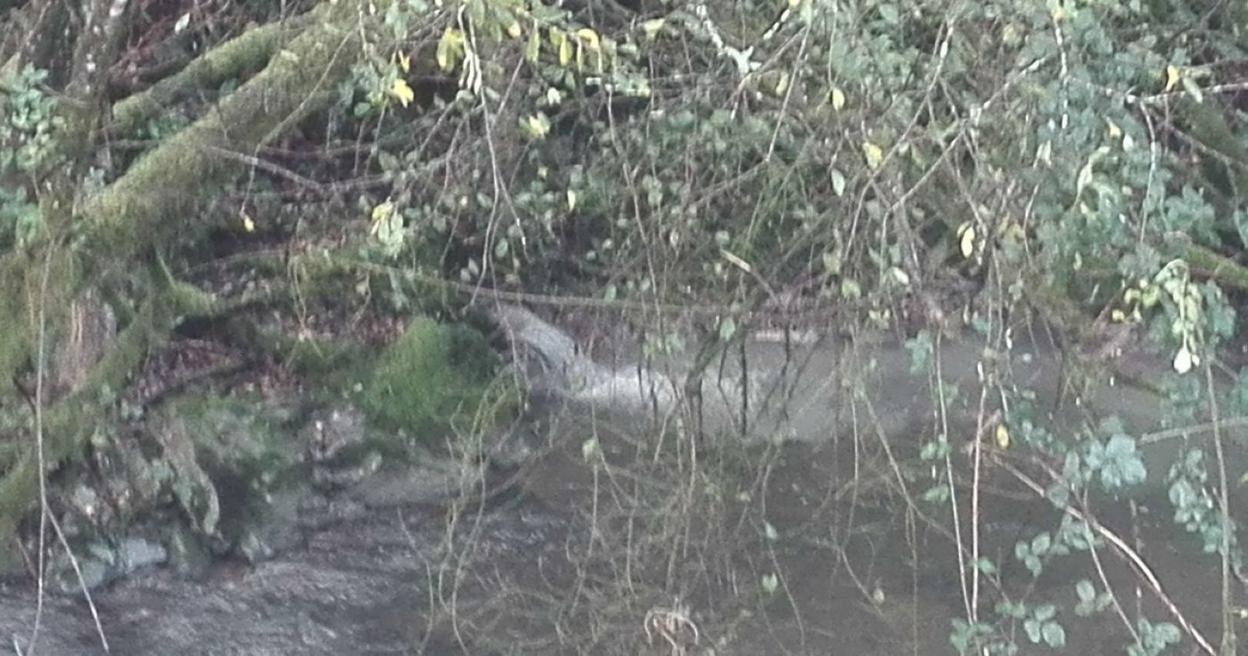 Ariztiberri baserritik gertu dagoen leku honetan joaten dira ur zikinak errekara gaur egun. 
