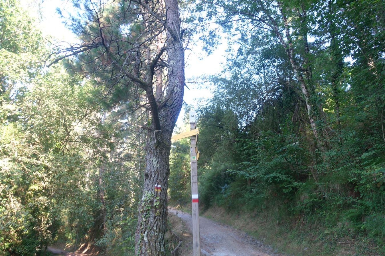 Fotos: Udalatx, impresionante regalo a la vista