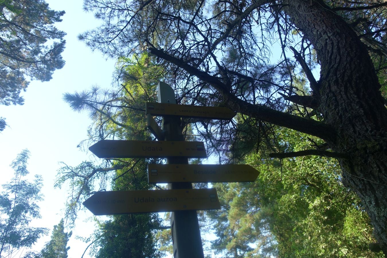 Fotos: Udalatx, impresionante regalo a la vista