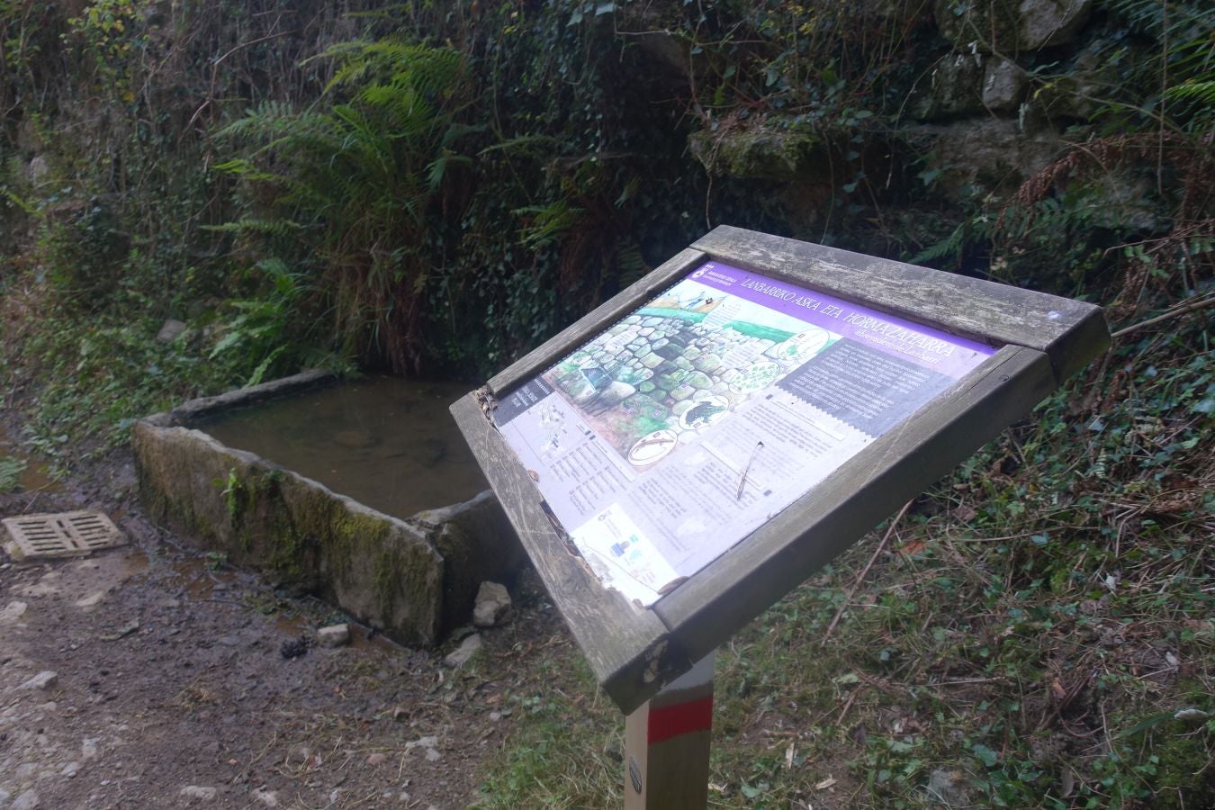 Fotos: Udalatx, impresionante regalo a la vista