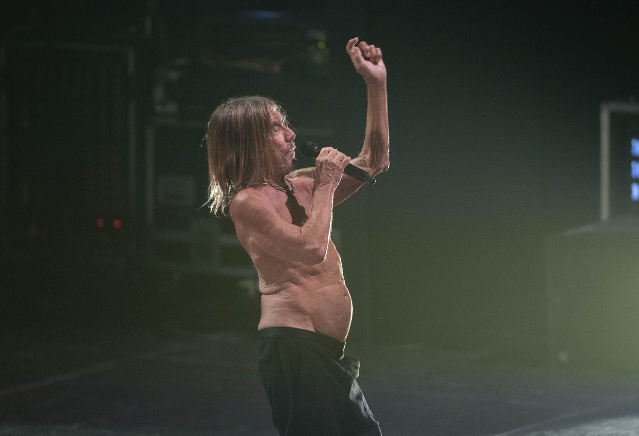 Fotos: Las imágenes del concierto de Iggy Pop en el Kursaal