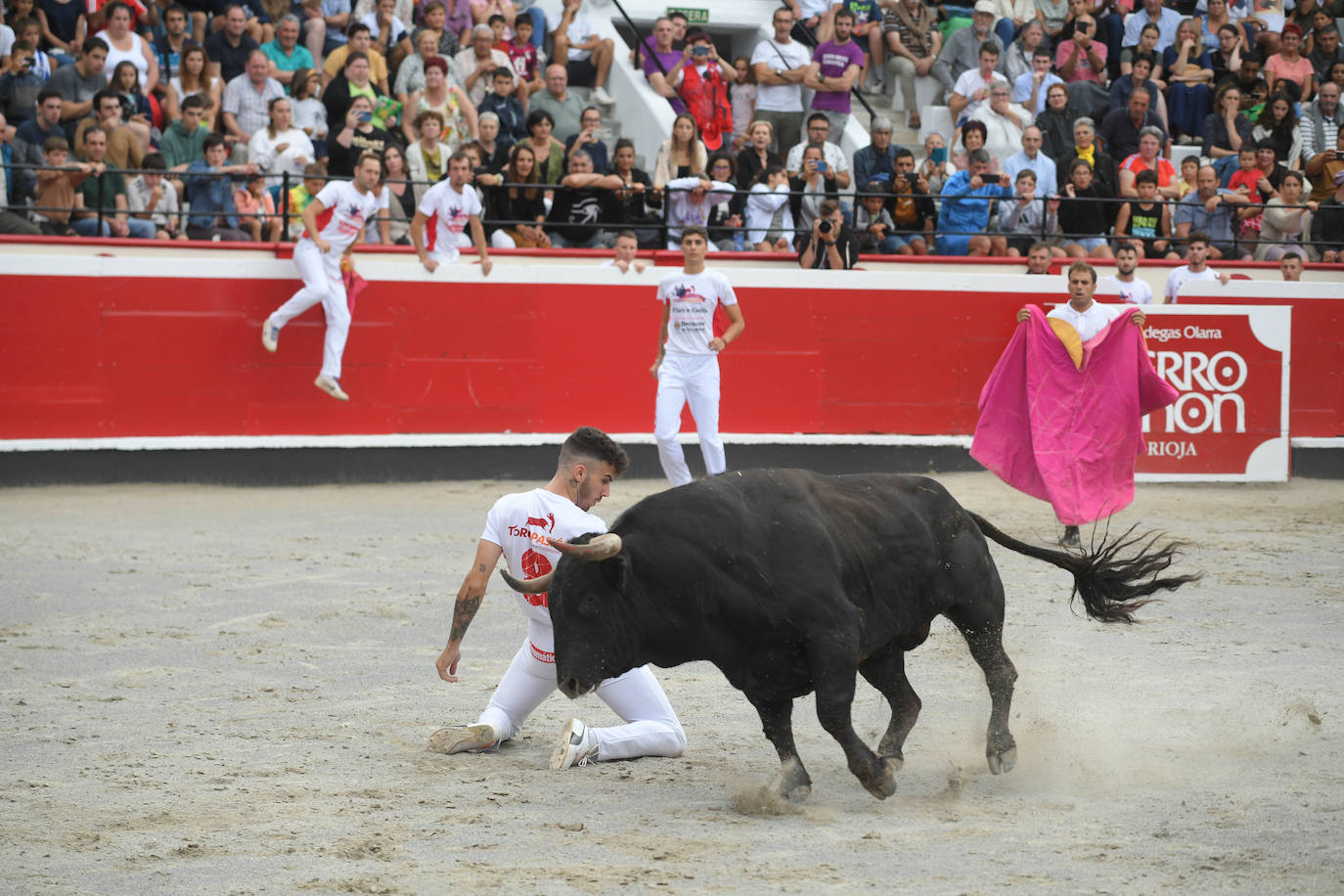Fotos: Los recortadores y sus piruetas conquistan la Plaza de Toros de Azpeitia