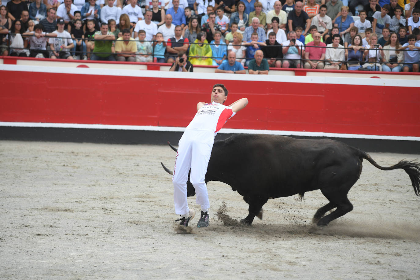 Fotos: Los recortadores y sus piruetas conquistan la Plaza de Toros de Azpeitia