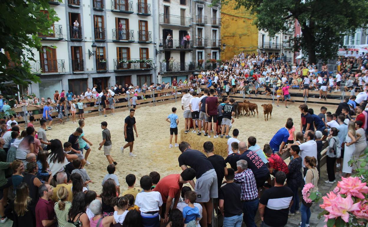 El encierro txiki y los posteriores juegos con vaquillas reúnen a cientos de personas en la pequeña plaza de toros improvisada en Donejakue. 