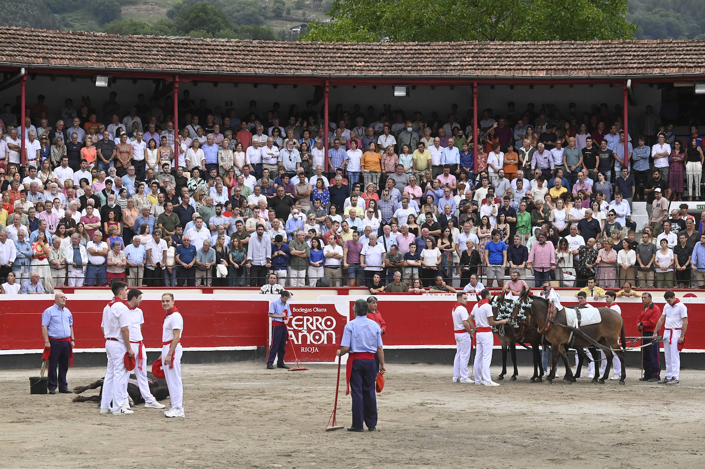 Fotos: Toreo del grande que cerró una interesante feria en Azpeitia