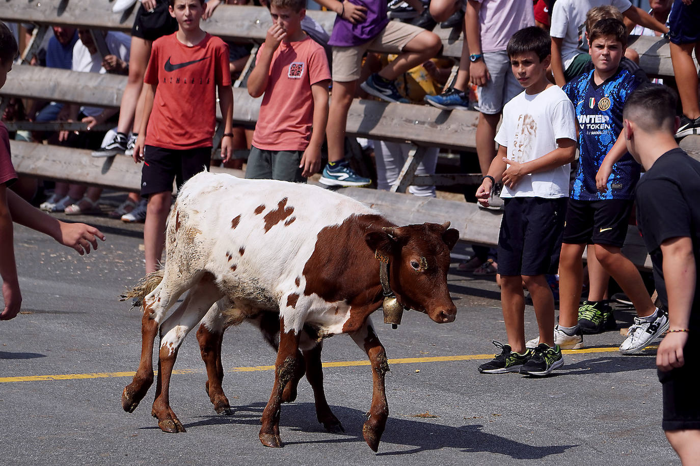 Fotos: Ekitaldiz jositako Xanistebanetako egun handia