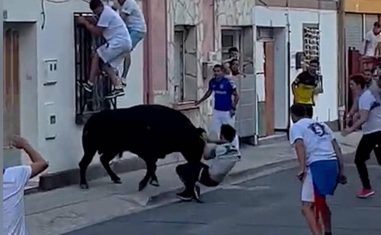 Un donostiarra sufre una espectacular cogida en el encierro de Lodosa | El  Diario Vasco