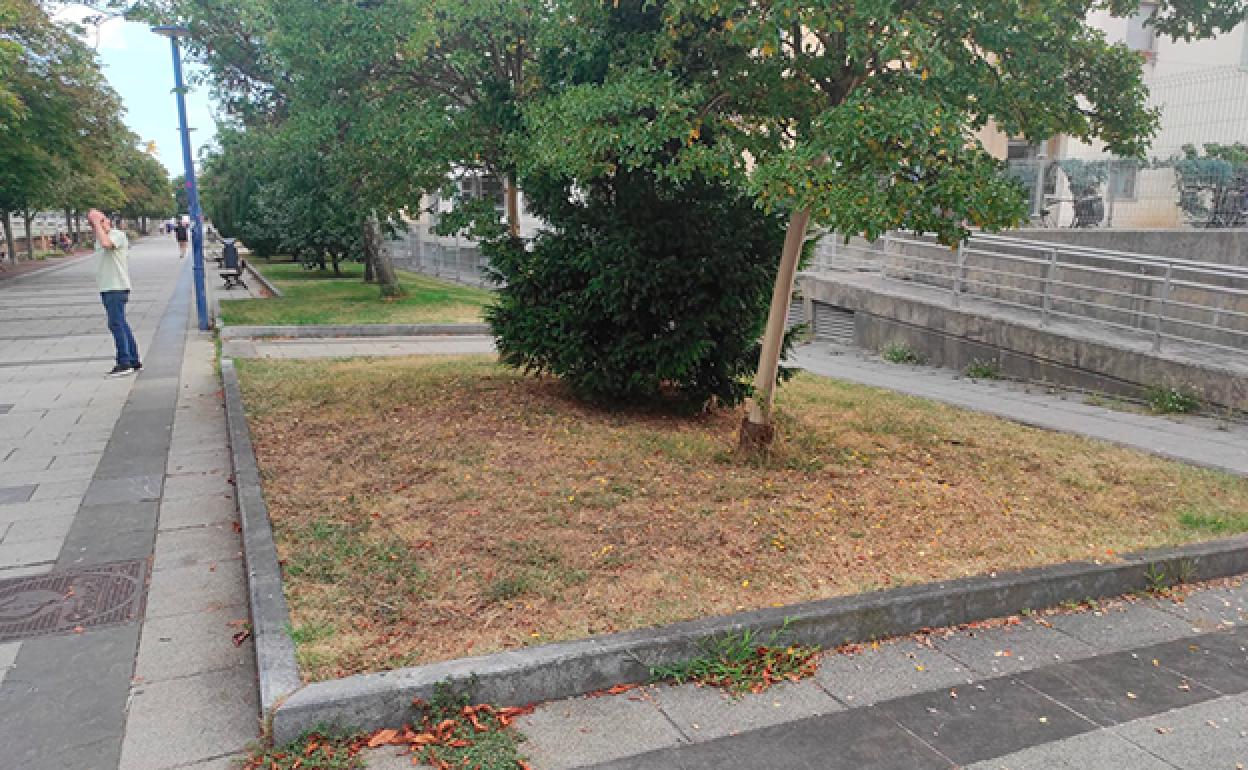 Cuando hay riego y no funciona