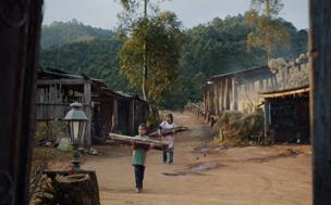 Carvão / Charcoal (Carbón)
