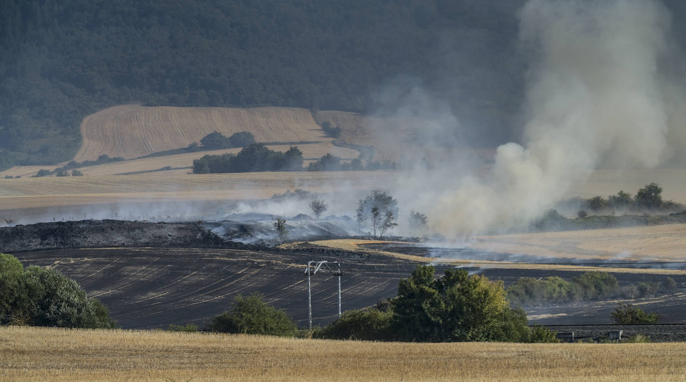 Fotos: El incendio que ha provocado los cortes en la A-1 y en la circulación de trenes