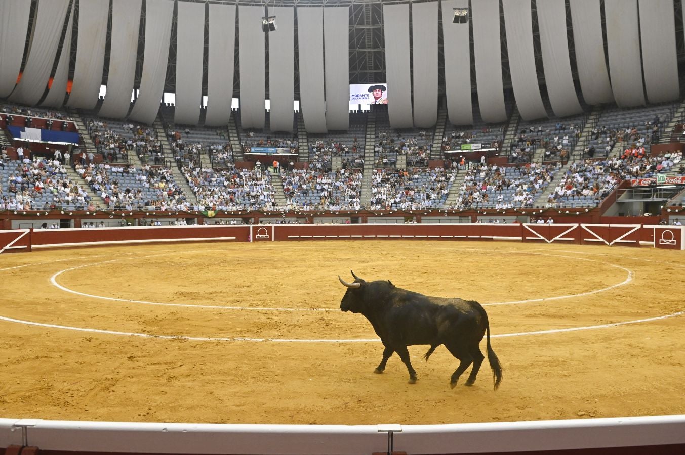 Fotos: Las imágenes de la primera corrida de la Semana Grande de San Sebastián