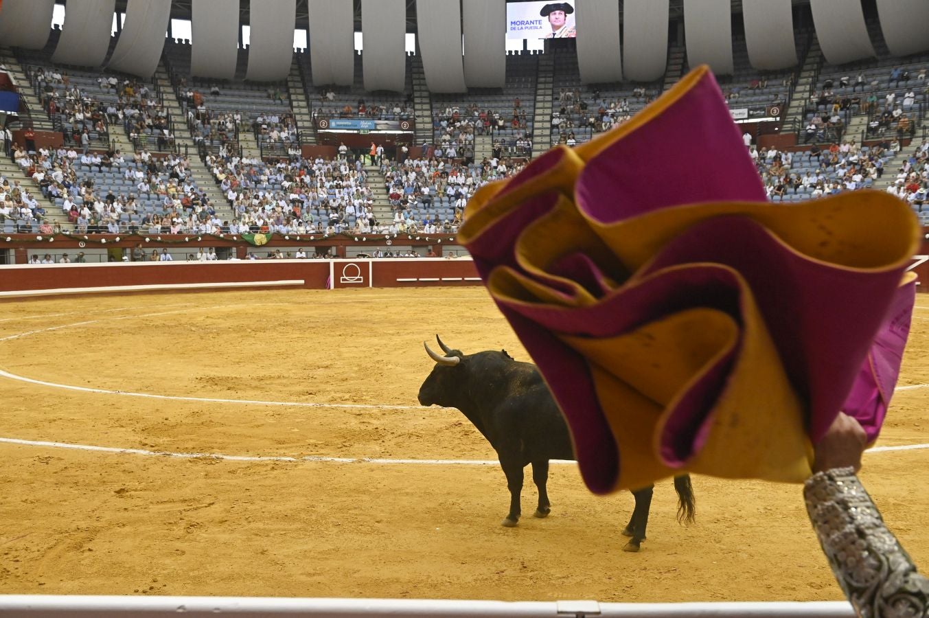 Fotos: Las imágenes de la primera corrida de la Semana Grande de San Sebastián