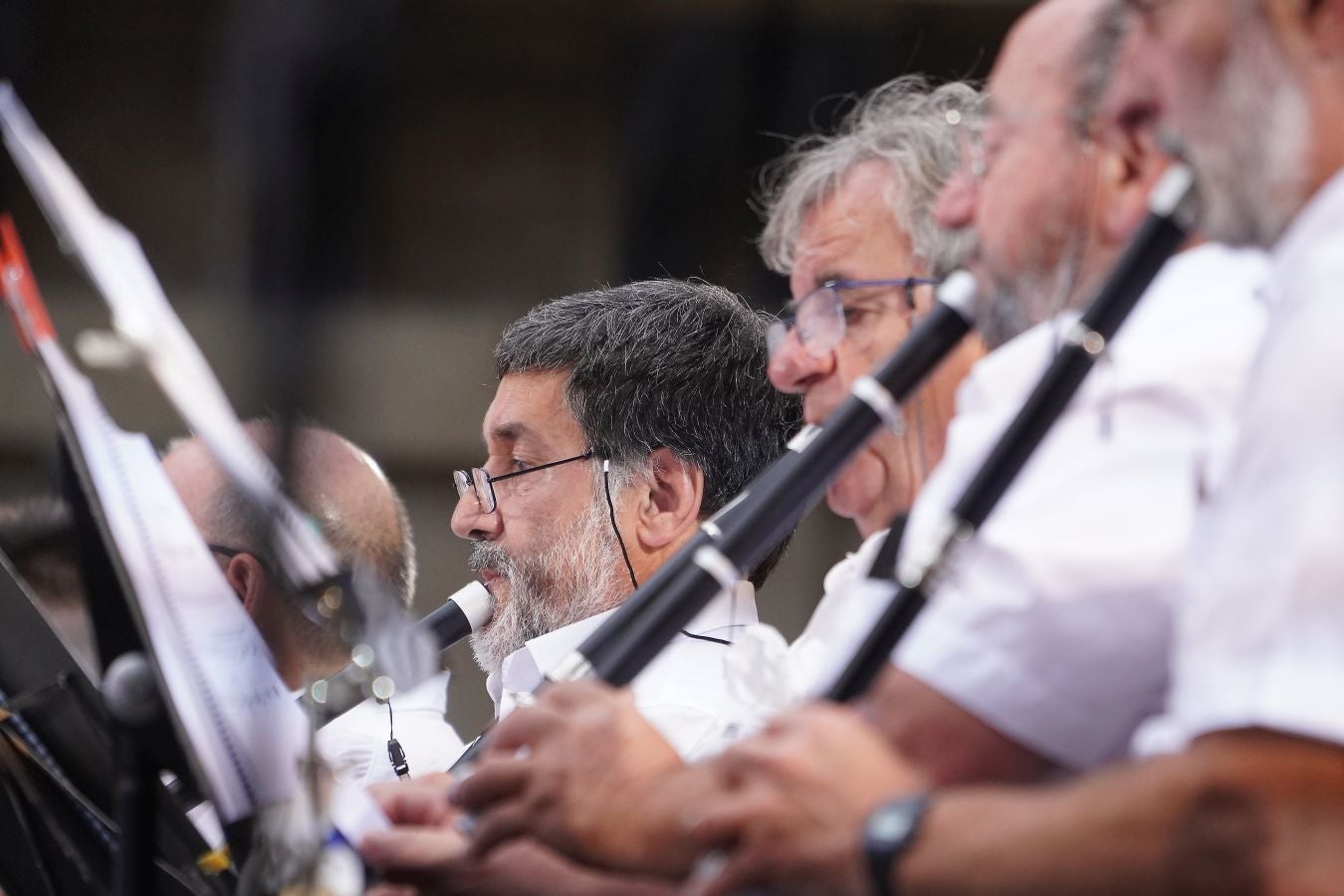 Fotos: Multitudinario Alarde de Txistularis