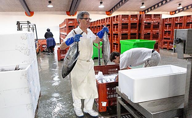 Imagen principal - Pesca: La costera del bonito se alarga a septiembre