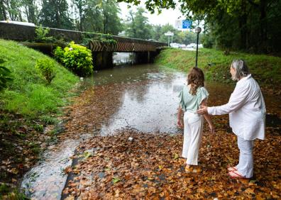 Imagen secundaria 1 - Árbol caído en el paseo Árbol de Gernika, en Donostia. Dos mujeres observan un camino inundado en Irun. Un bombero limpia un comercio en Donostia.