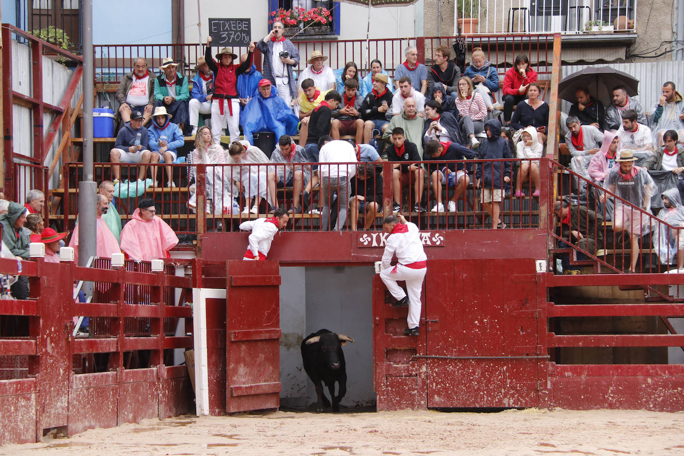 Fotos: Cuatro toros y dos torerillos contra las nubes en Deba