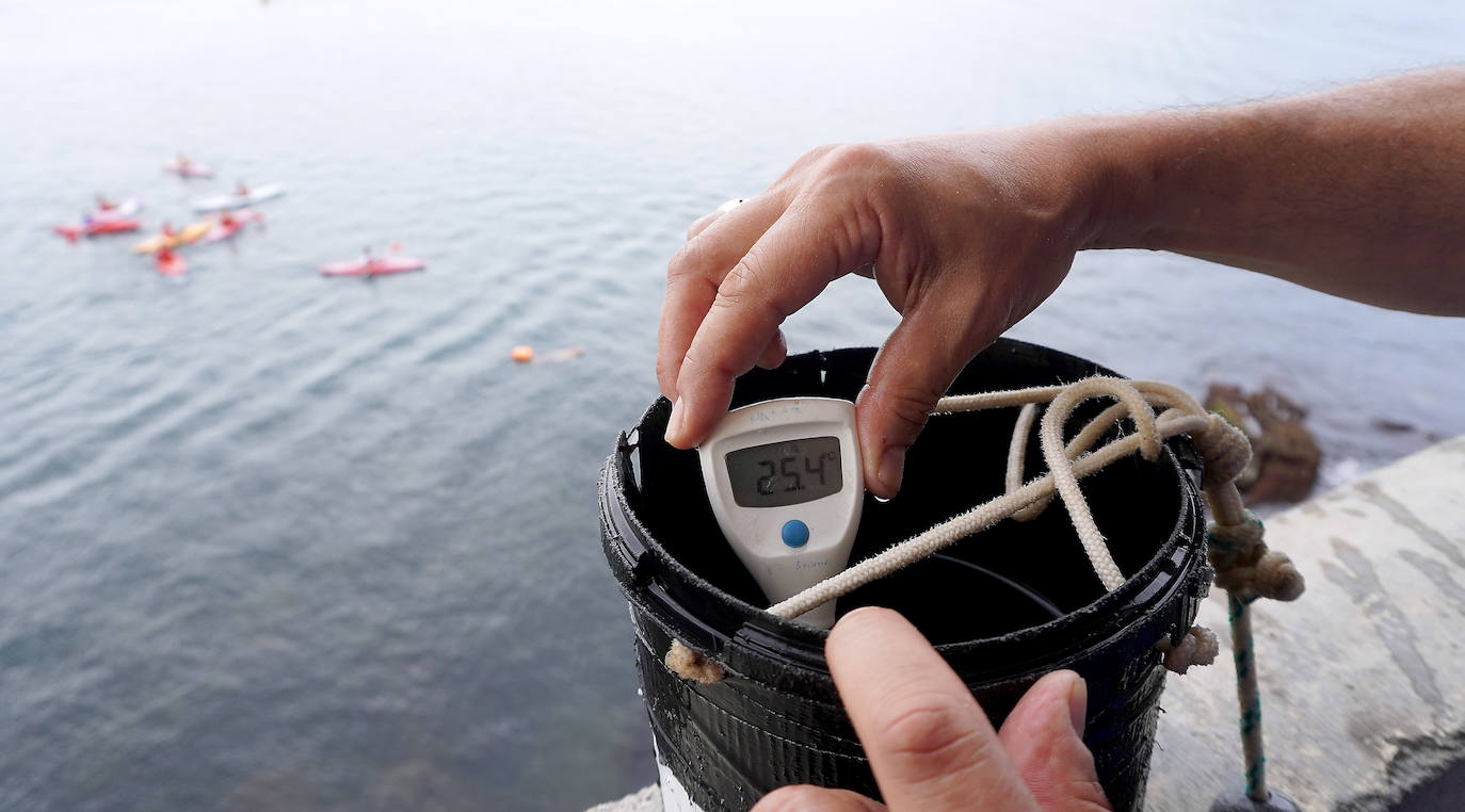 Fotos: Los secretos del Aquarium donostiarra