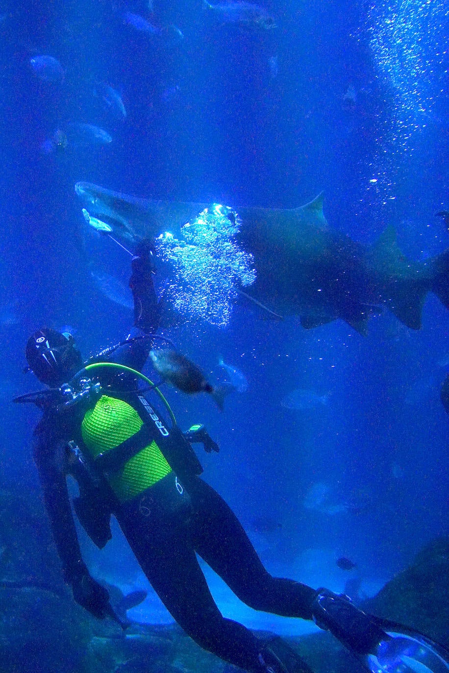 Fotos: Los secretos del Aquarium donostiarra