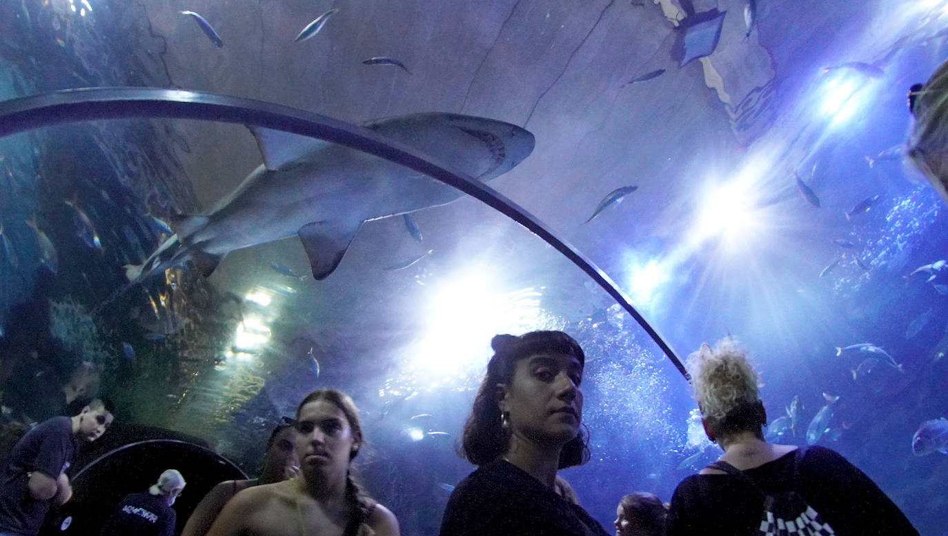 Fotos: Los secretos del Aquarium donostiarra