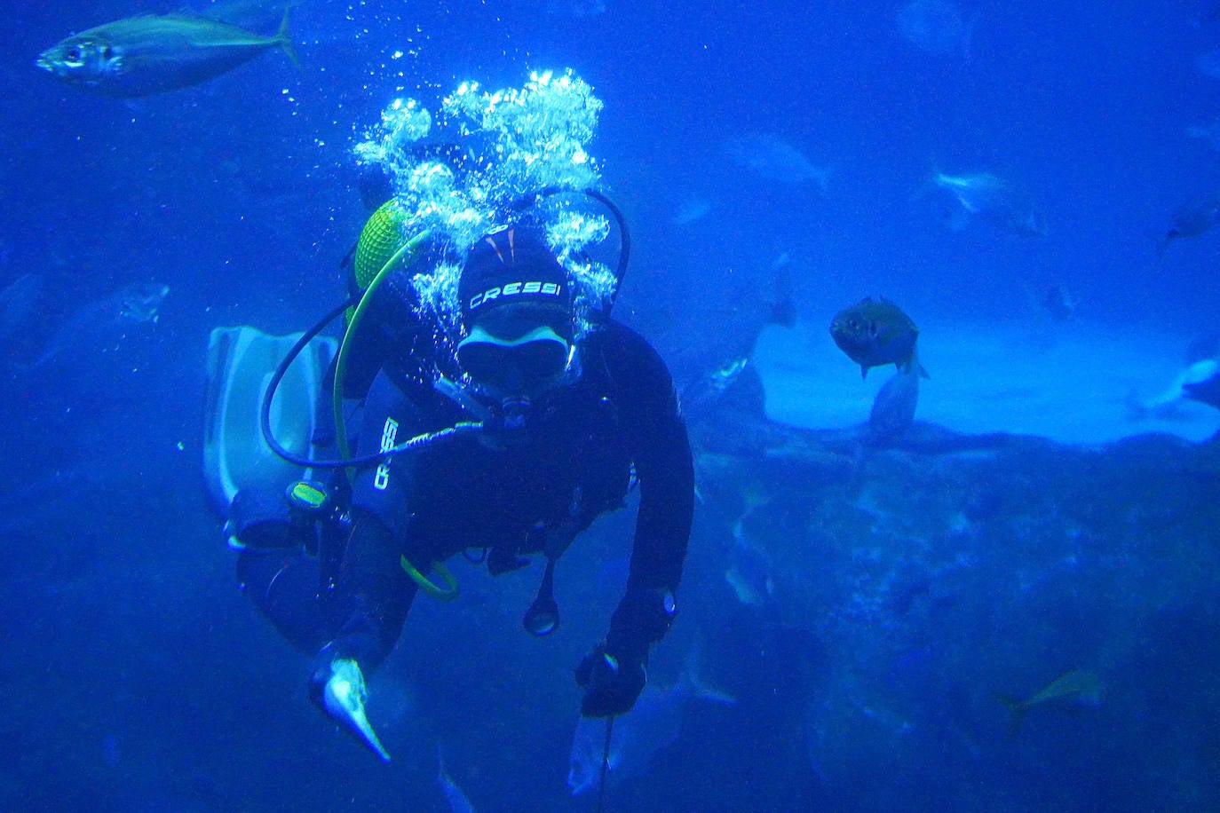Fotos: Los secretos del Aquarium donostiarra