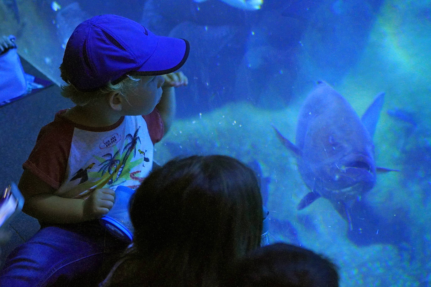 Fotos: Los secretos del Aquarium donostiarra