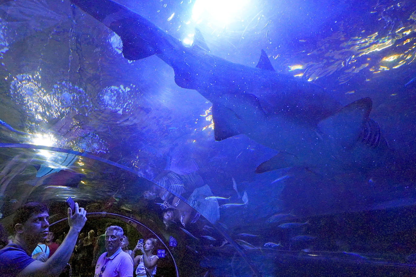 Fotos: Los secretos del Aquarium donostiarra