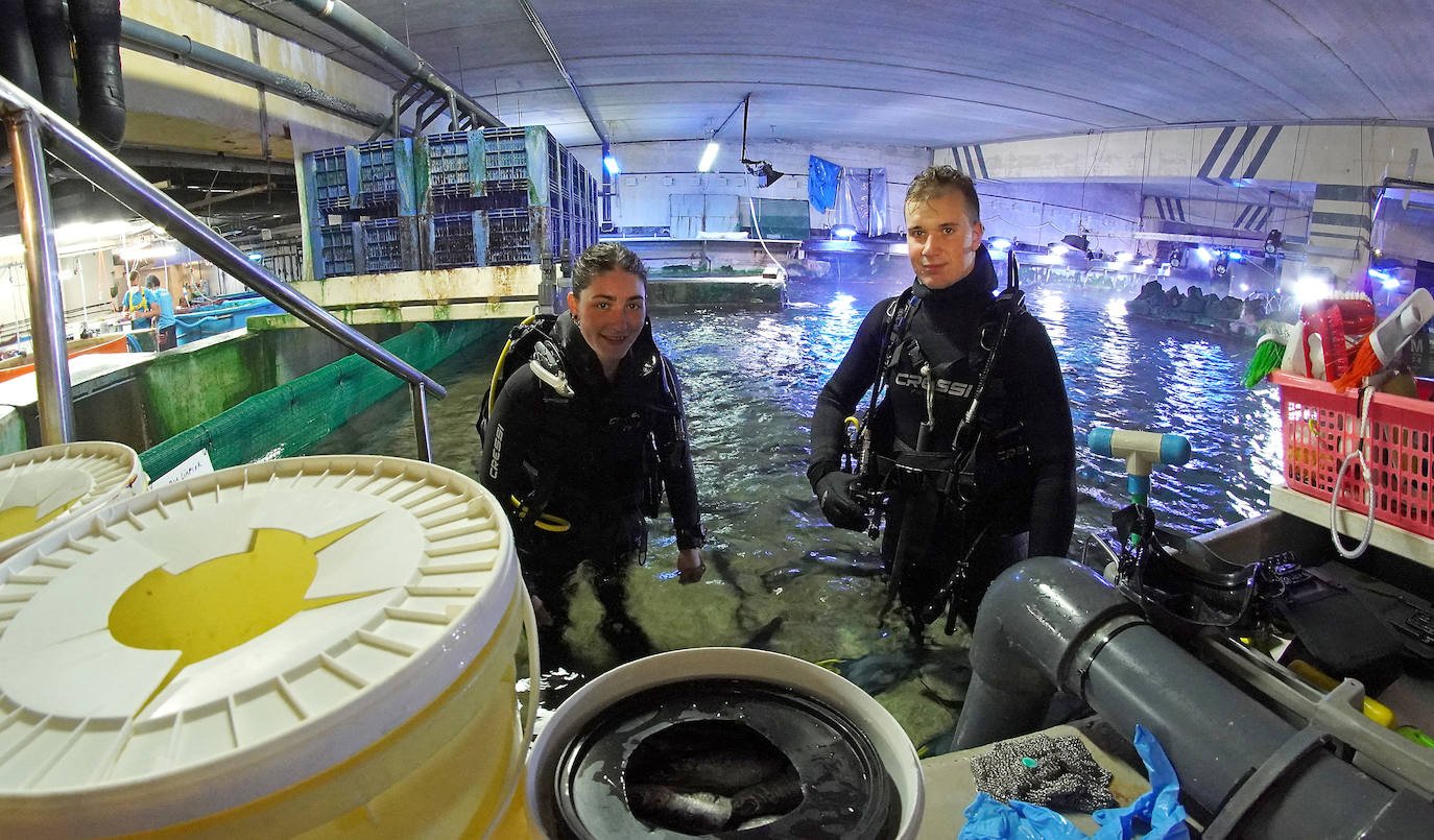 Fotos: Los secretos del Aquarium donostiarra