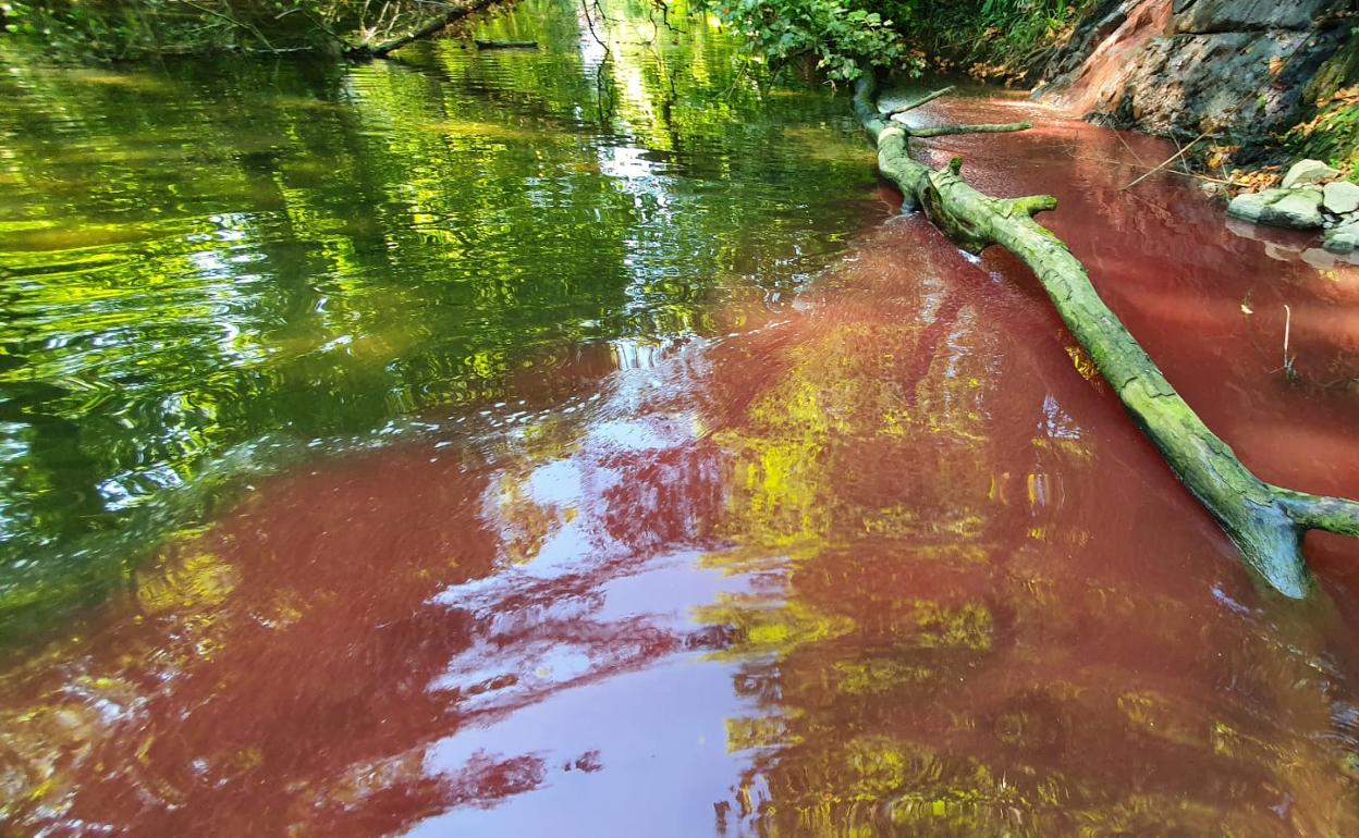 Eguzki denuncia un vertido de sangre al río Urola en Zestoa