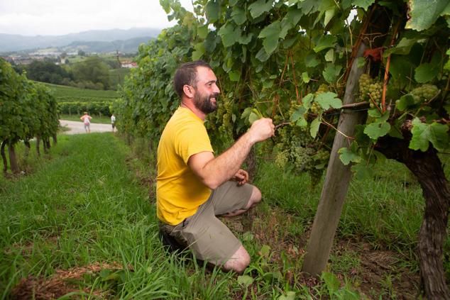 Fotos: Un txakoli de calidad y mayor graduación