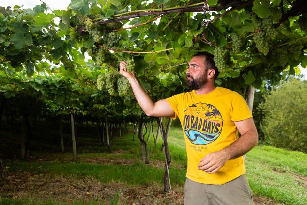 Fotos: Un txakoli de calidad y mayor graduación