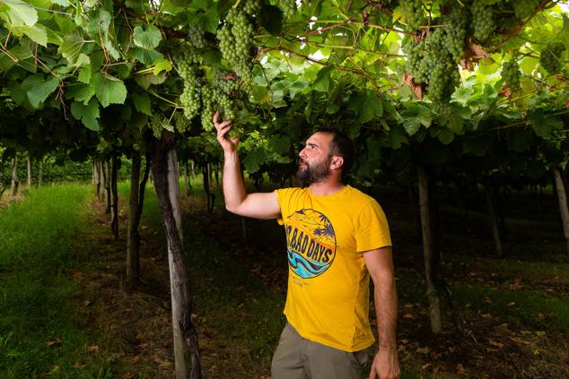 Fotos: Un txakoli de calidad y mayor graduación