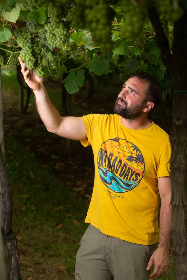 Fotos: Un txakoli de calidad y mayor graduación