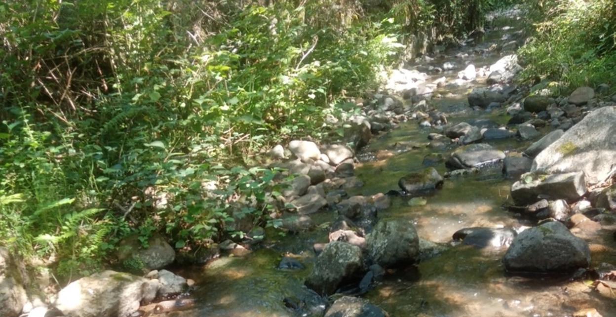 El río como alternativa para combatir el calor. 