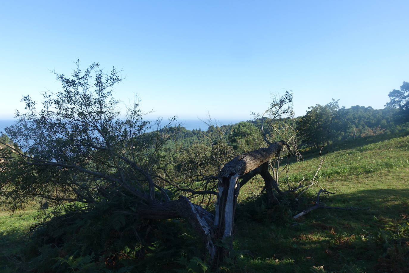 Fotos: Labetxu, el bello valle de los colores