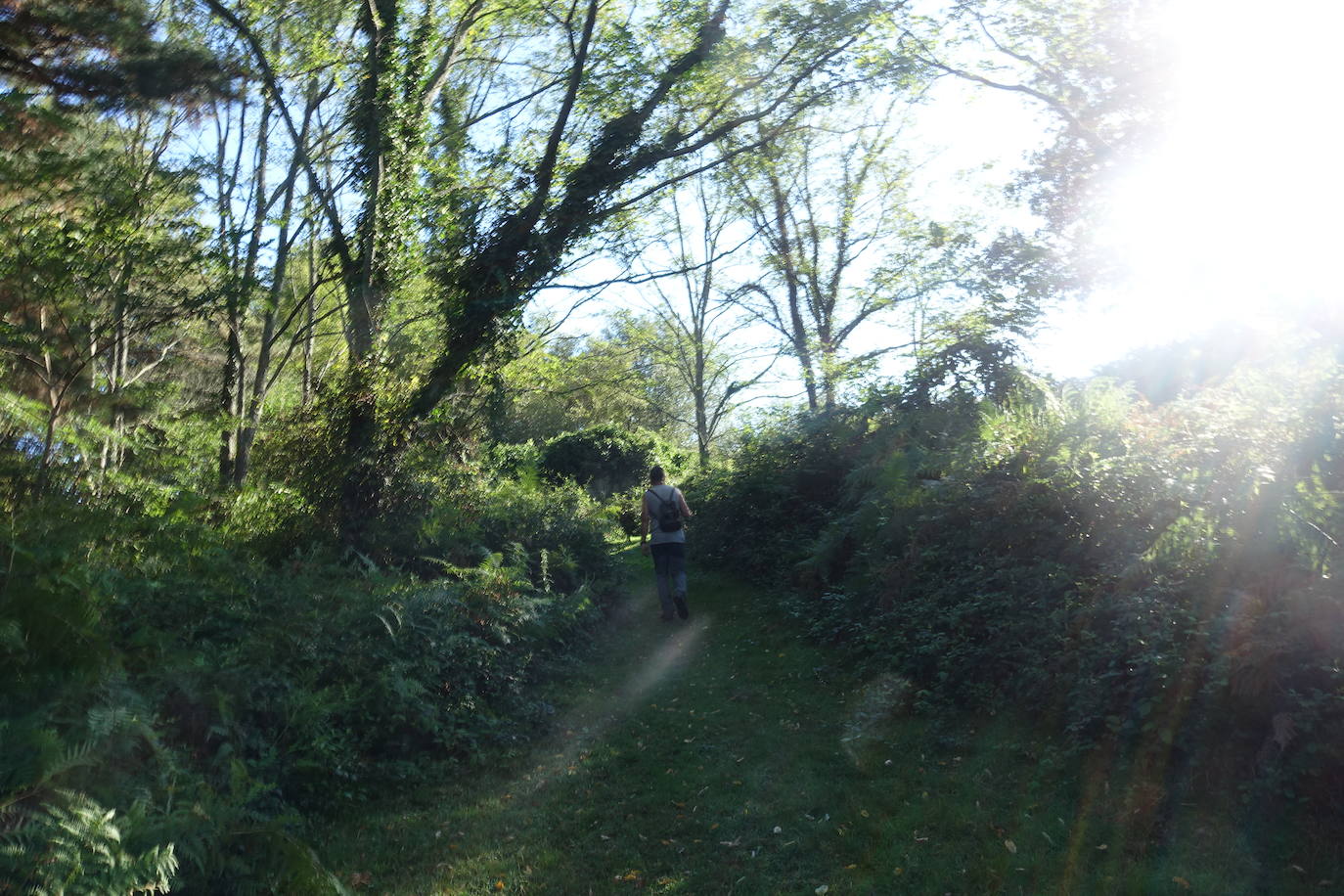 Fotos: Labetxu, el bello valle de los colores