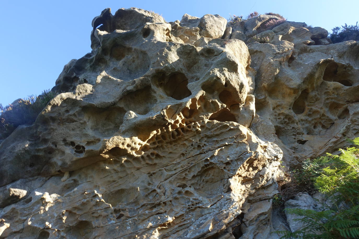 Fotos: Labetxu, el bello valle de los colores