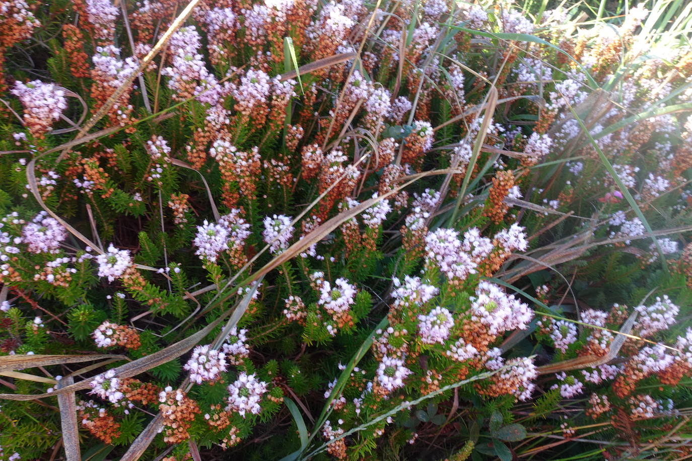 Fotos: Labetxu, el bello valle de los colores