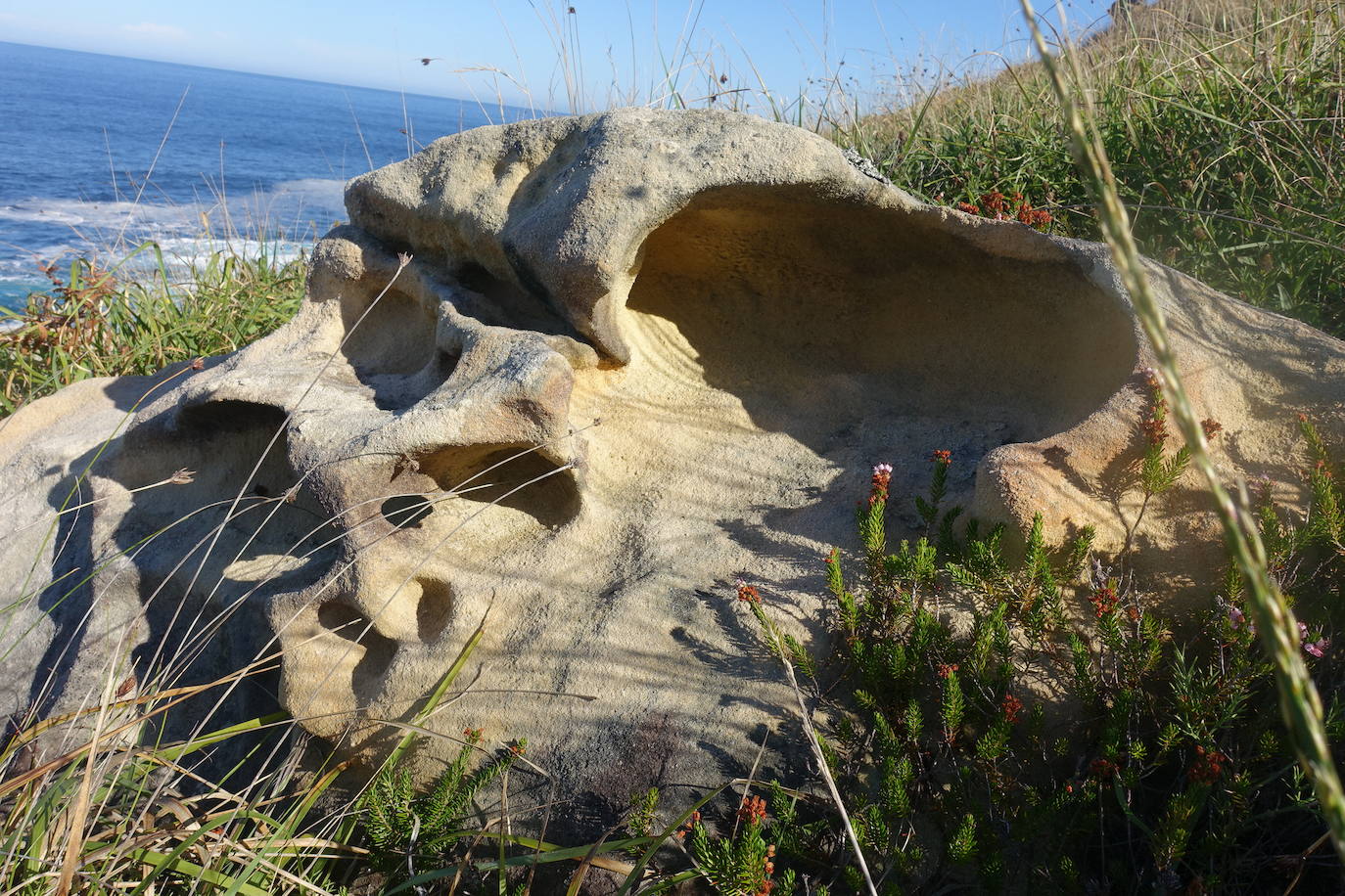 Fotos: Labetxu, el bello valle de los colores