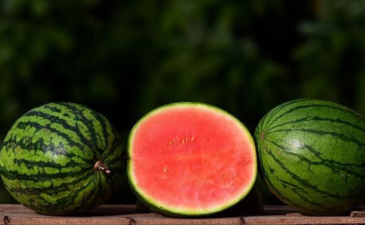 Los restos de comida se transforman en nuevos alimentos del futuro