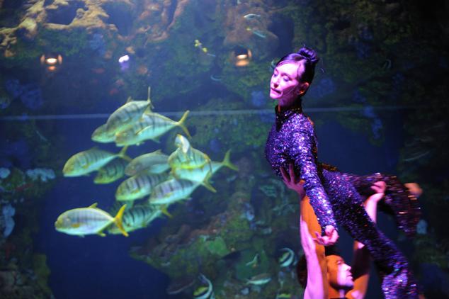 Fotos: &#039;Inmesión&#039;, una exposición en el Aquarium para reflexionar sobre la mar