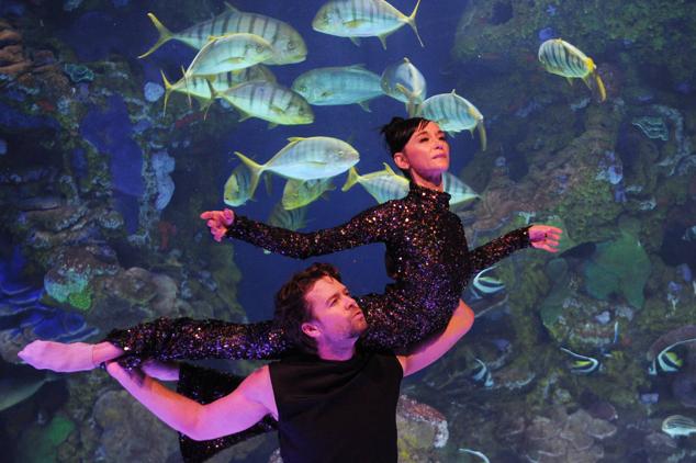 Fotos: &#039;Inmesión&#039;, una exposición en el Aquarium para reflexionar sobre la mar